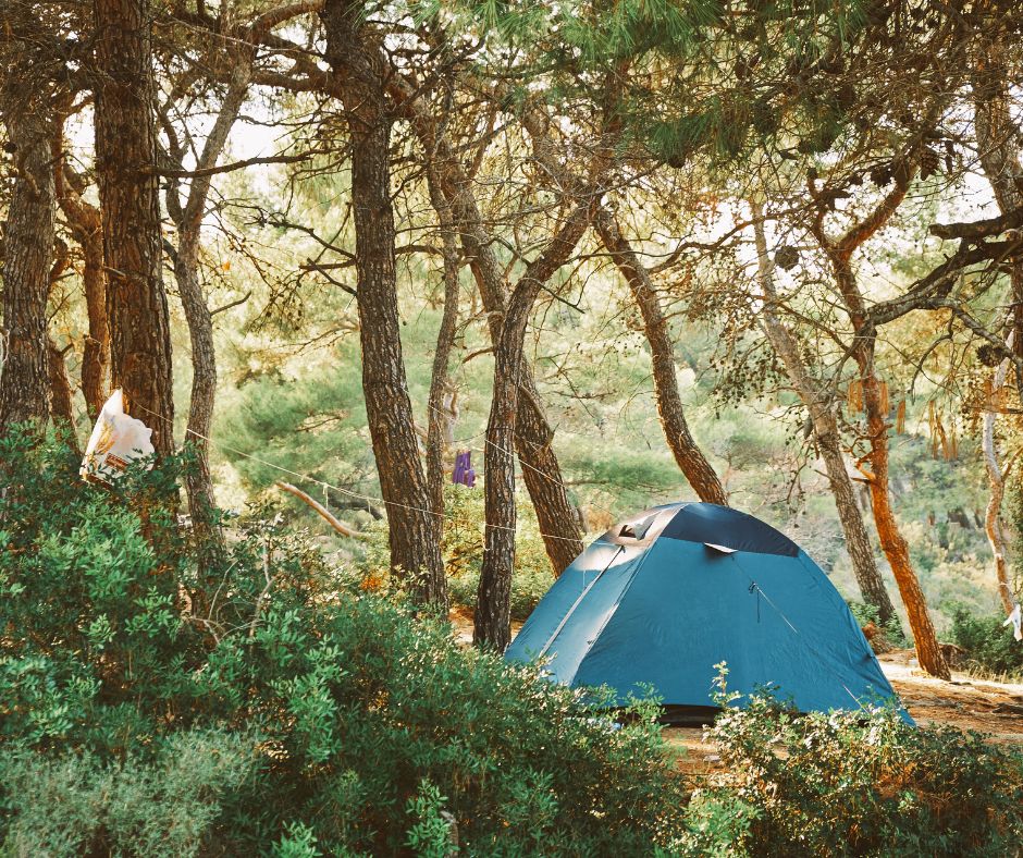 best camping spots near me